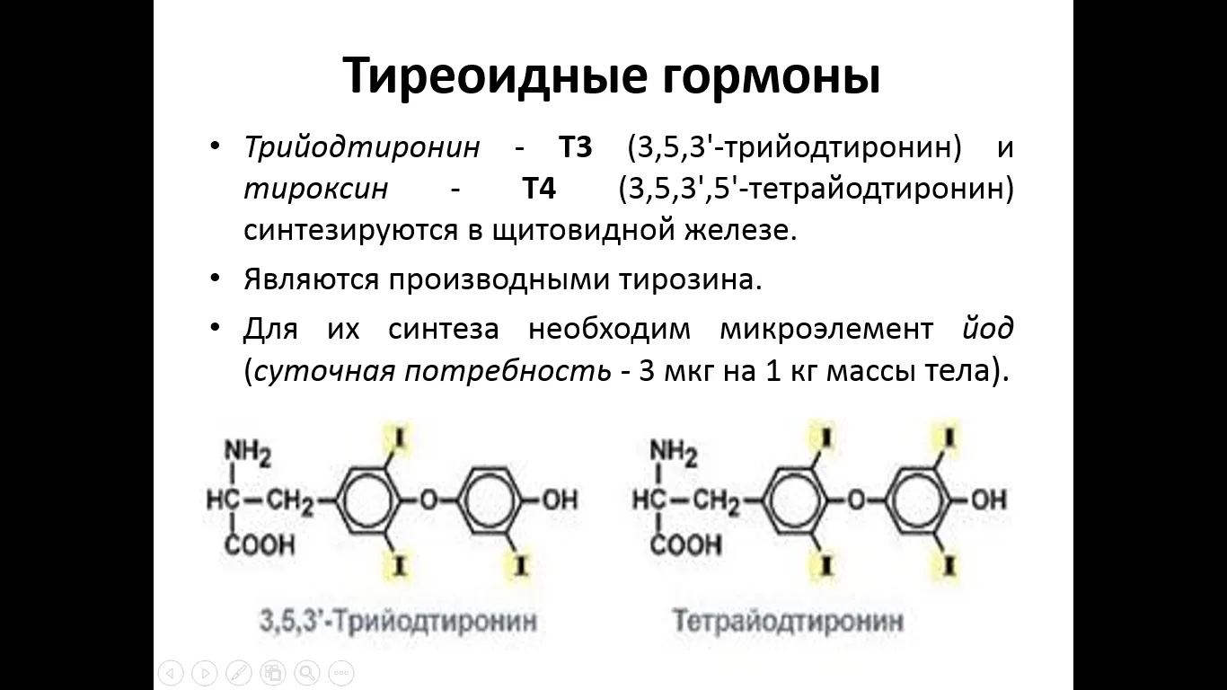 Как гормоны щитовидной железы влияют на здоровье: все, что нужно знать