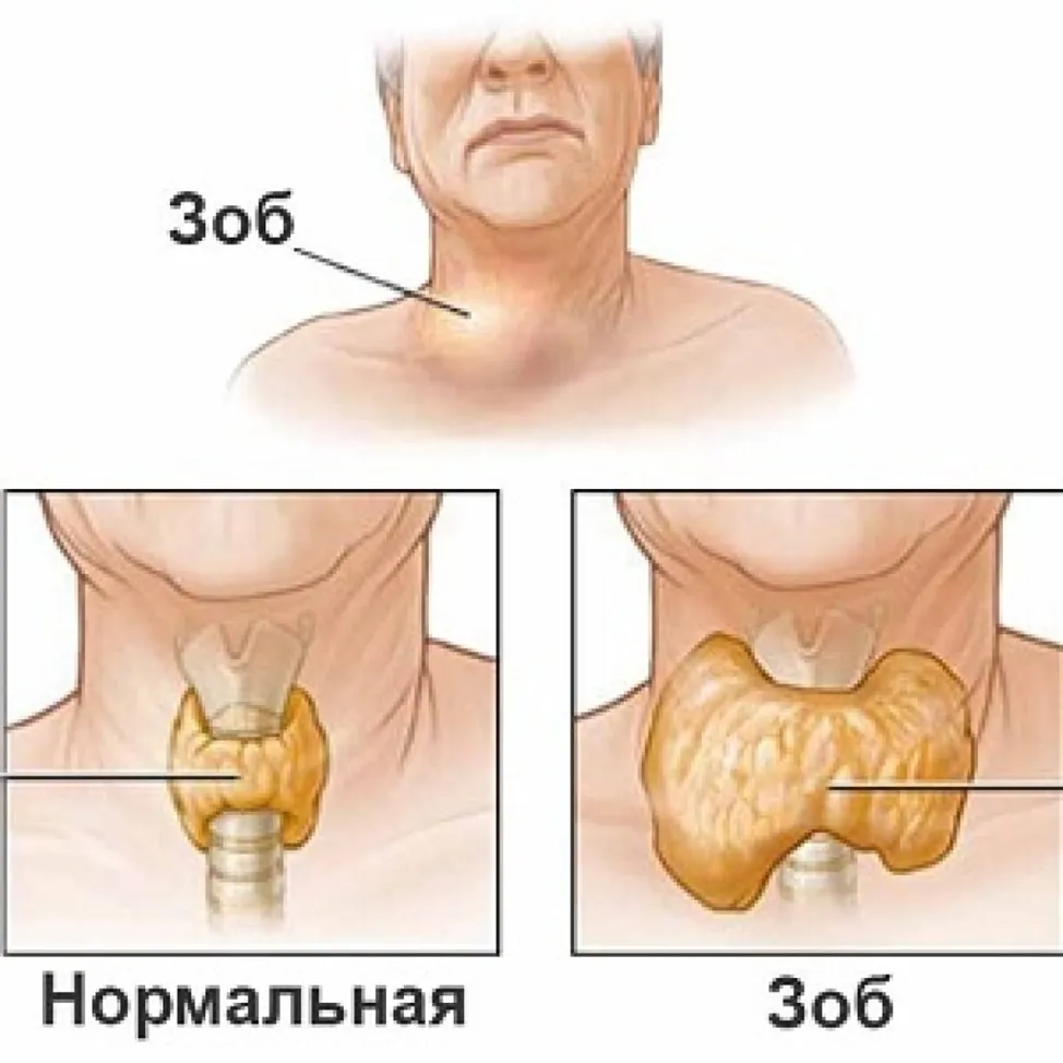 Все о его природe и значении